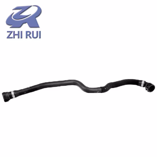 Customized Wholesale Automobile Parts Radiator Coolant Hose Water Pipe 17127537109 for BMW E70 X5
